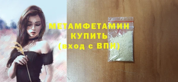 молекула духа Богданович