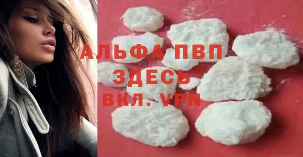 молекула духа Богданович