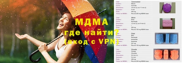 молекула духа Богданович