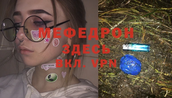 молекула духа Богданович