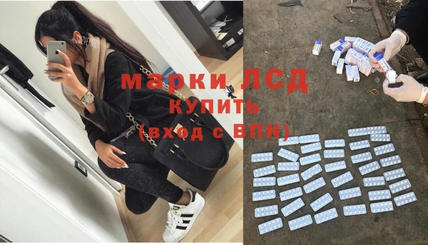 молекула духа Богданович