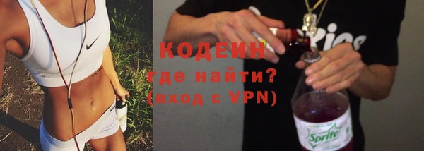 молекула духа Богданович
