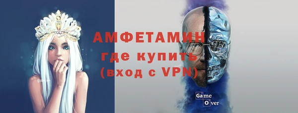 молекула духа Богданович
