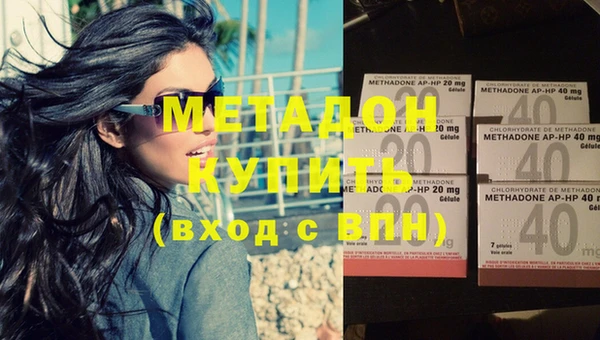 молекула духа Богданович