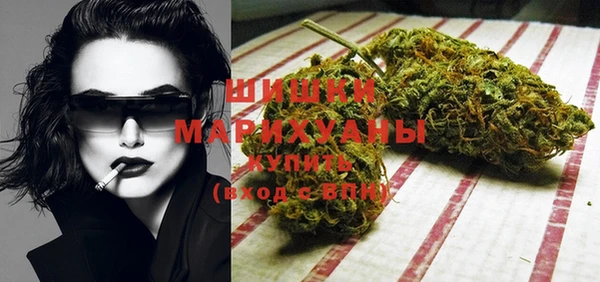 молекула духа Богданович