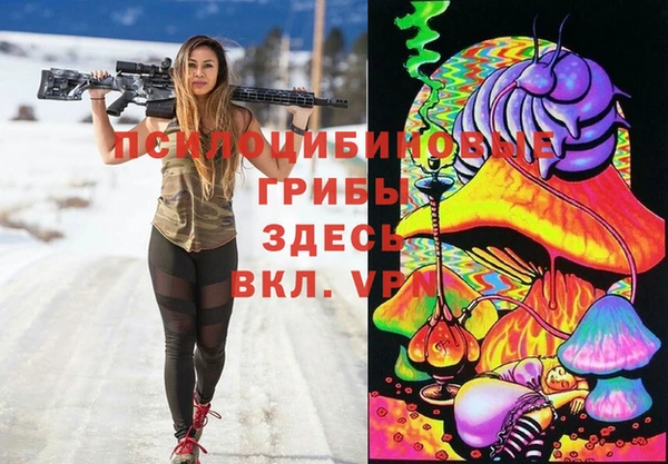 молекула духа Богданович