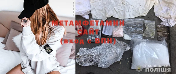молекула духа Богданович