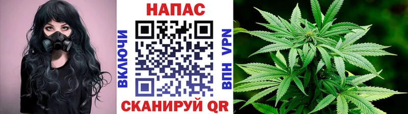 Бошки Шишки сатива  Улан-Удэ 